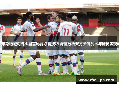 莱斯特城对阵水晶宫比赛必看技巧 深度分析双方关键战术与球员表现