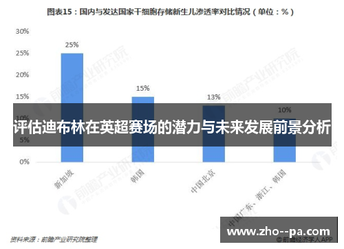 评估迪布林在英超赛场的潜力与未来发展前景分析