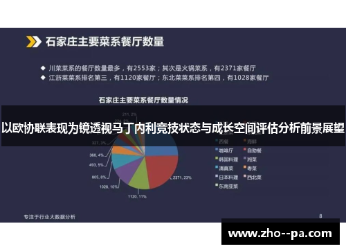 以欧协联表现为镜透视马丁内利竞技状态与成长空间评估分析前景展望