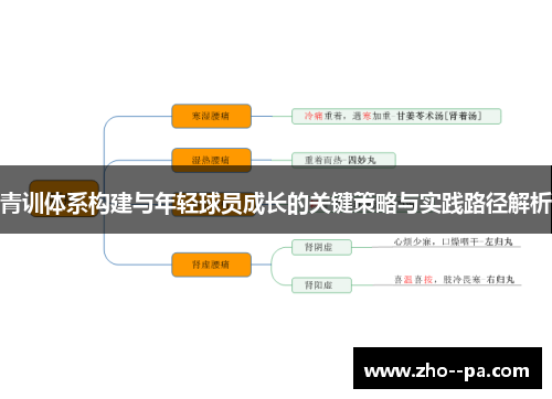 青训体系构建与年轻球员成长的关键策略与实践路径解析