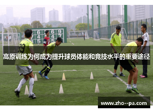 高原训练为何成为提升球员体能和竞技水平的重要途径