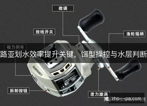 路亚划水效率提升关键，饵型操控与水层判断